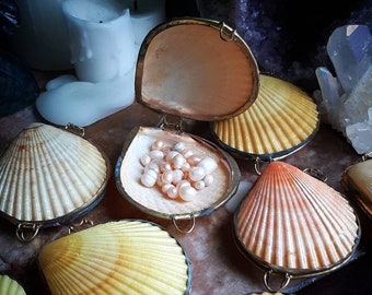 Mermaid Coin Purse/Shell Box