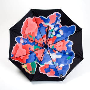 Deluxe Cane Umbrella, Wooden Handle, Automatic with Original Artwork, Strong and Windproof image 3