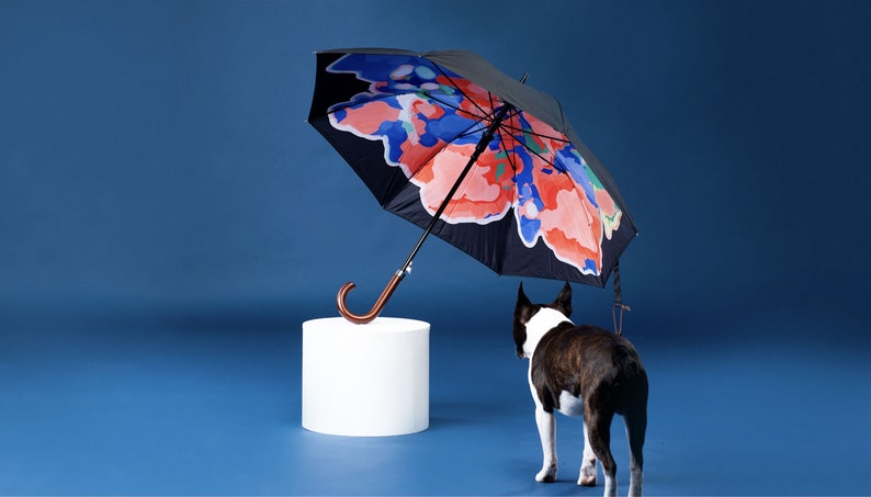 Deluxe Cane Umbrella, Wooden Handle, Automatic with Original Artwork, Strong and Windproof image 1