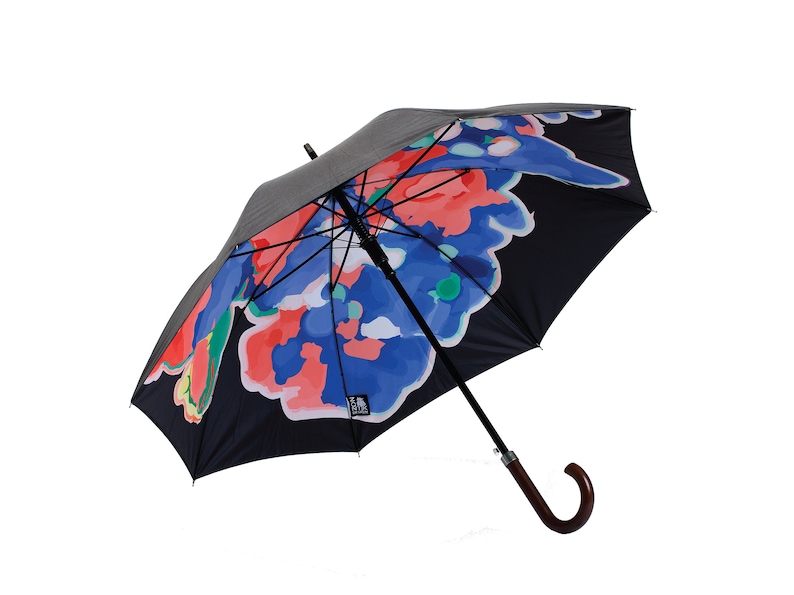 Deluxe Cane Umbrella, Wooden Handle, Automatic with Original Artwork, Strong and Windproof image 10