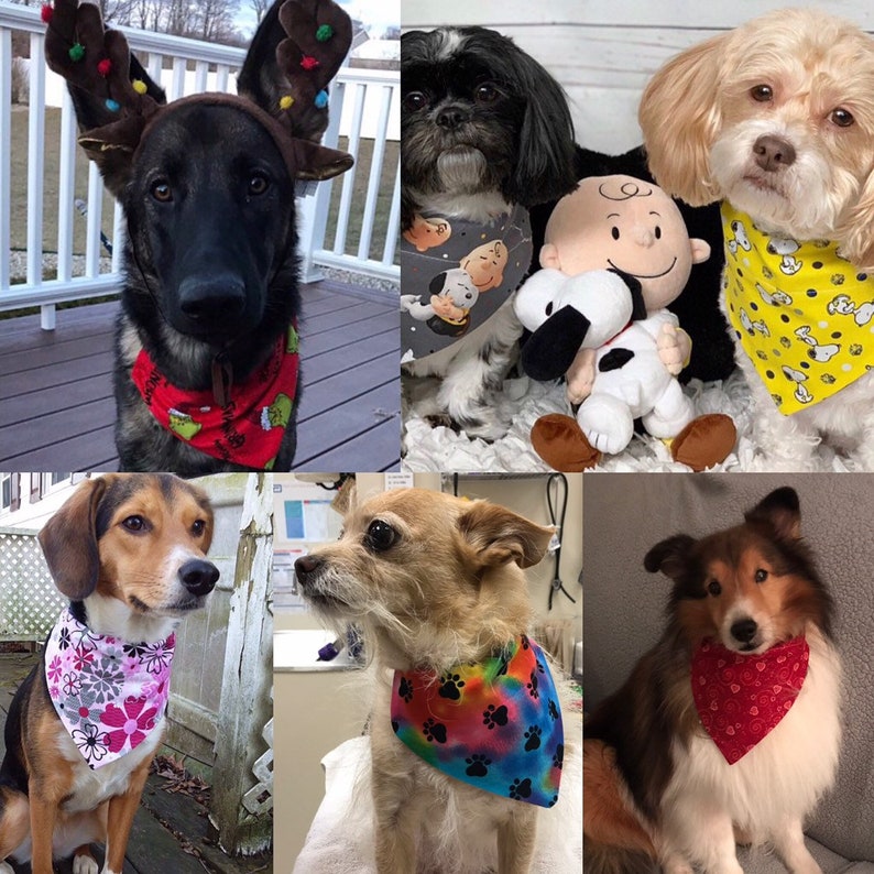 Taco Tuesday Over The Collar Fog Bandana