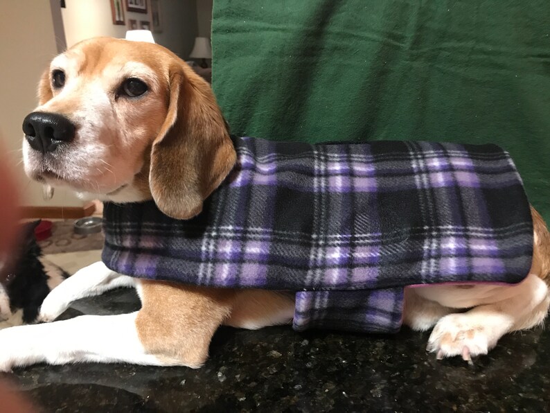 Dog Fleece Jacket Purple & Black Etsy