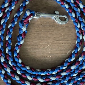 American Dream 550 Paracord 4 Strand Braided Dog Leash in 4ft or 6ft/Dog Leash/Dogs Gift