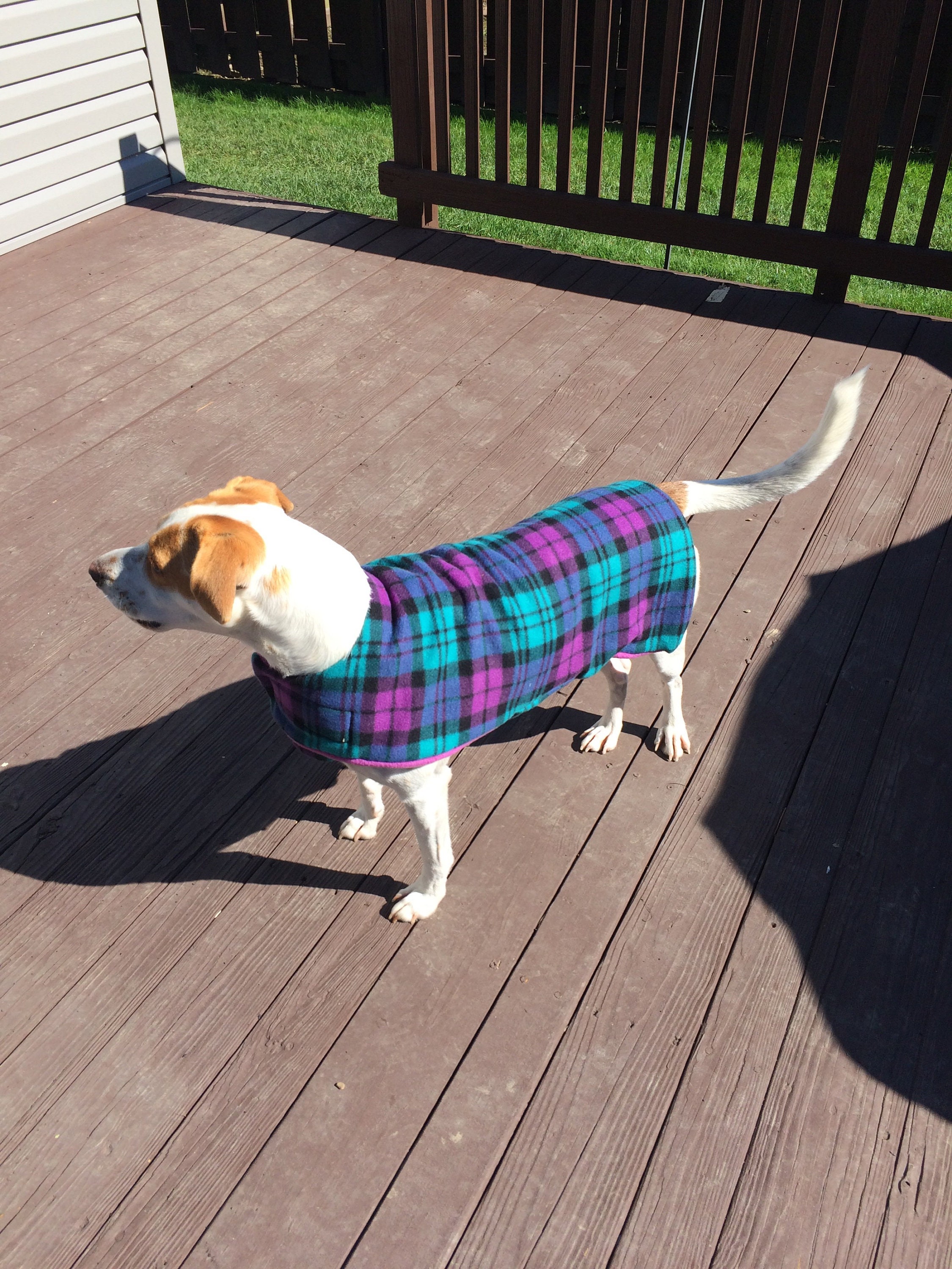 Dog Fleece Jacket Purple & Black Etsy