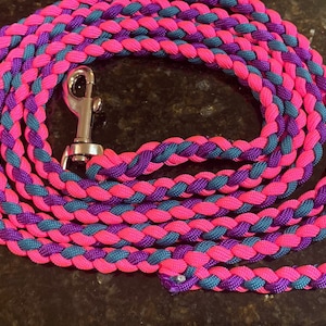 Può includere: Un guinzaglio per cani intrecciato in rosa, verde acqua e viola con un moschettone argentato.