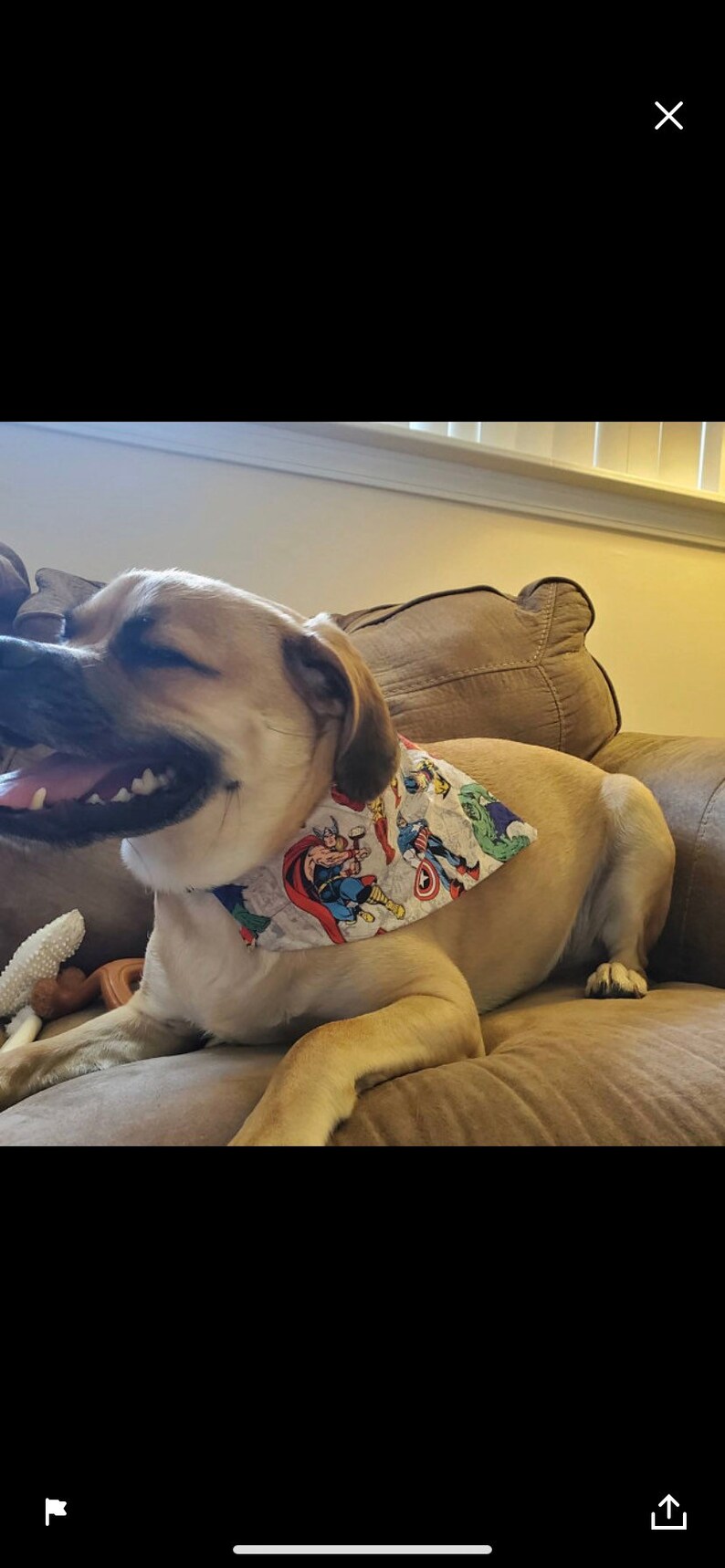 Polar Bears Ski Weekend Over the Collar Dog Bandana Etsy