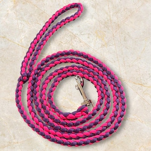 Può includere: Un guinzaglio per cani intrecciato in una vivace combinazione di colori rosa e viola. Il guinzaglio è arrotolato e presenta un moschettone in metallo color argento per un facile fissaggio al collare del cane. L'impugnatura è ad anello per una presa comoda.