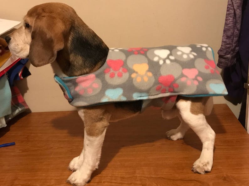 Dog Fleece Jacket Gray Paw Print Etsy