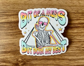 Bit of a Mess 3" clear sticker, Doin my best, skeleton rainbow sticker, sticker for tumbler cups, funny adult stickers, adult humor sticker.