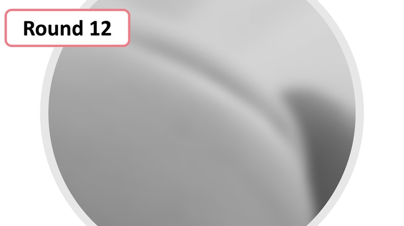 May include: A grayscale abstract design within a white circle. The text "Round 12" is in a red rectangle in the upper left corner. The image has a smooth, blurred appearance.