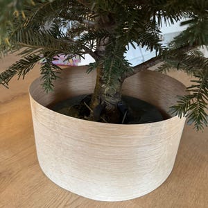 Puede incluir: Un pequeño árbol de hoja perenne en un collar de árbol de madera clara. El árbol tiene agujas verdes y ramas marrones. El collar del árbol es de color madera clara con un diseño curvo. El árbol está sobre un suelo de madera.