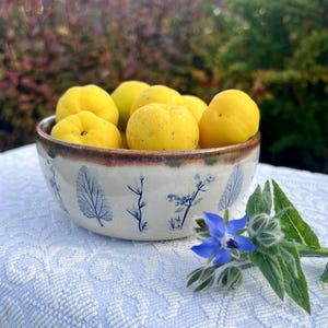 Botanical Pottery Bowl, Handmade Breakfast Serving Dish, Plants Imprint Stoneware