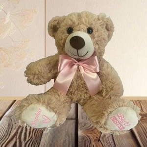 Big Sister Teddy Bear, Big Sister Gift, Sibling Gift, New Baby Gift, Big Sister Stuffed Animal