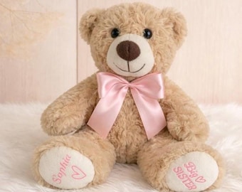 Personalized Big Sister Teddy Bear, New Baby Sibling Gift