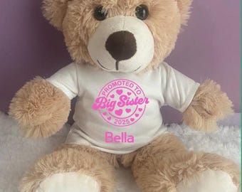 Big Sister Teddy Bear Gift: Personalized Plush Sibling Present