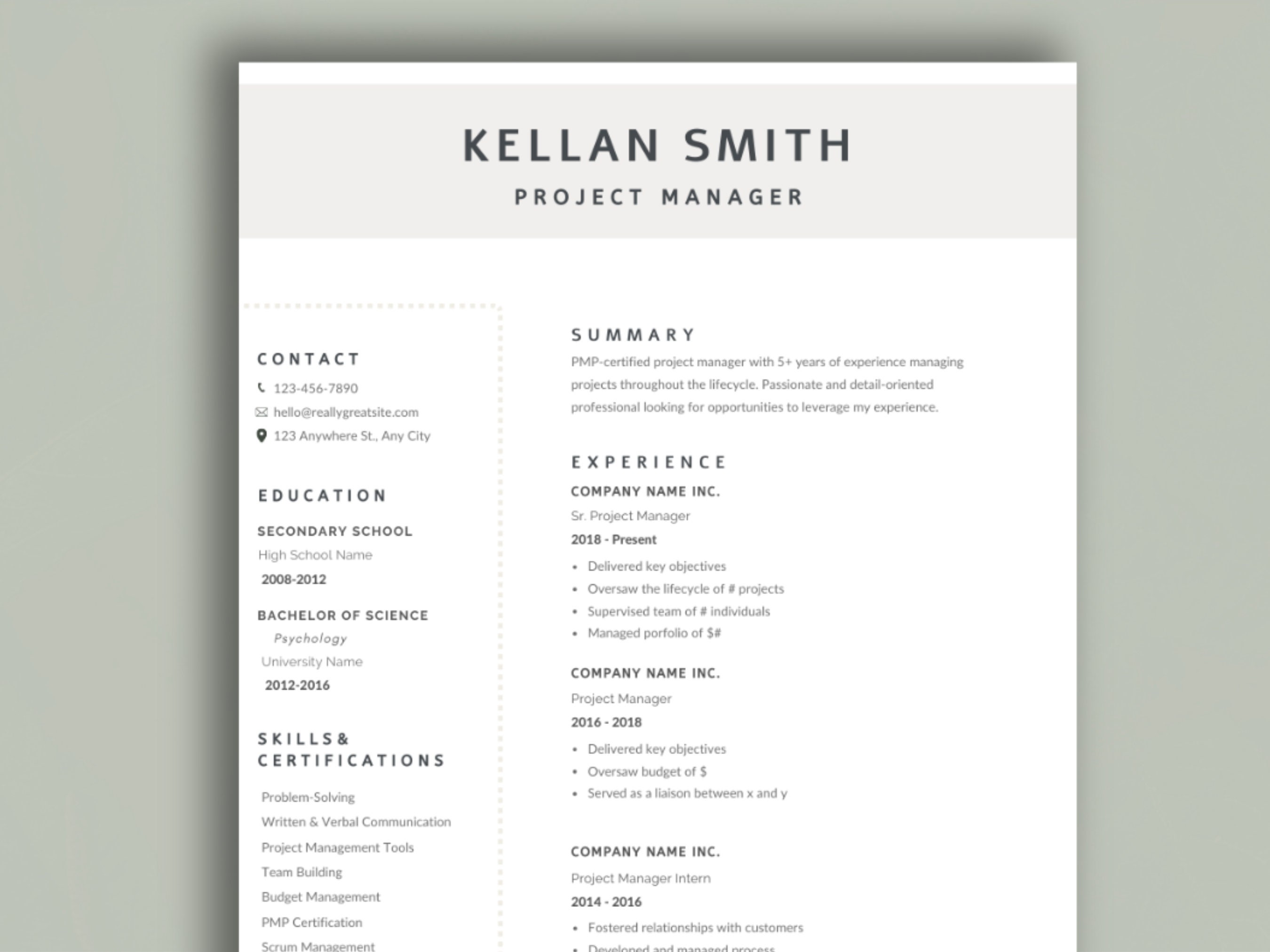 CV | Resume | Canva Template | Professional | Minimalist | Digital