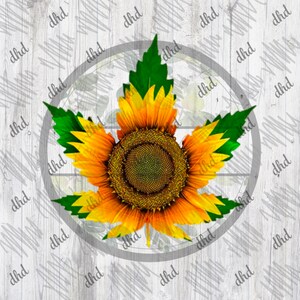 May include: A yellow sunflower with green leaves in a circle on a white wood background.