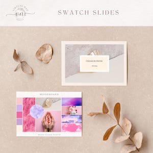 Pu&ograve; includere: Immagine stilizzata con mood board e diapositive campione. Il mood board mostra una palette di colori rosa e viola con varie trame e immagini. La diapositiva campione ha il testo "Cream Blossom" e un codice colore. Foglie secche sparse.