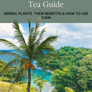 Jamaican  herbal tea guide pdf  book the benefits and how to use each plants tea remedies and wellness