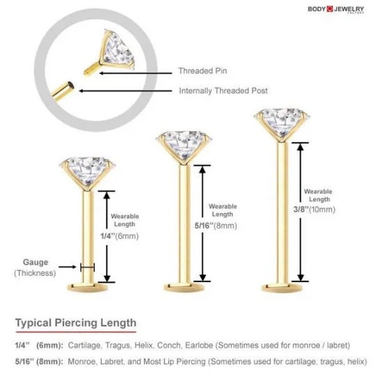 Typical shop tragus gauge