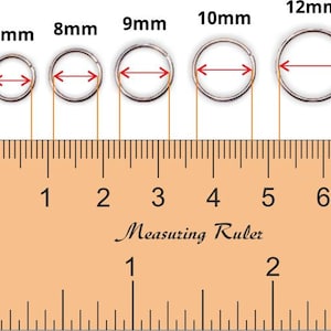 Medical Grade Titanium Double Band Hinged Ring Clicker Hoop for Tragus ...