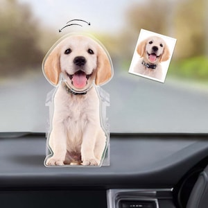 Innendekorationen: Cooler Mops, Nickender Hund, Auto
