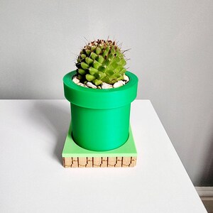May include: A green and brown ceramic planter shaped like a Super Mario Bros. pipe with a small cactus plant inside.
