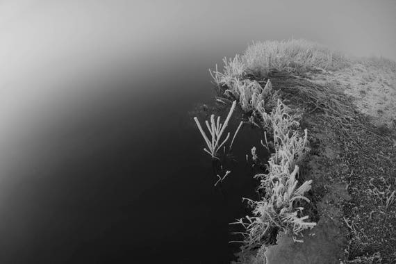 Winter Water Foggy Winter Frozen Plants Misty River Snow And Fog Mystic Nature Floral Art Print Nature Minimalism Mindaugas Buivydas - 