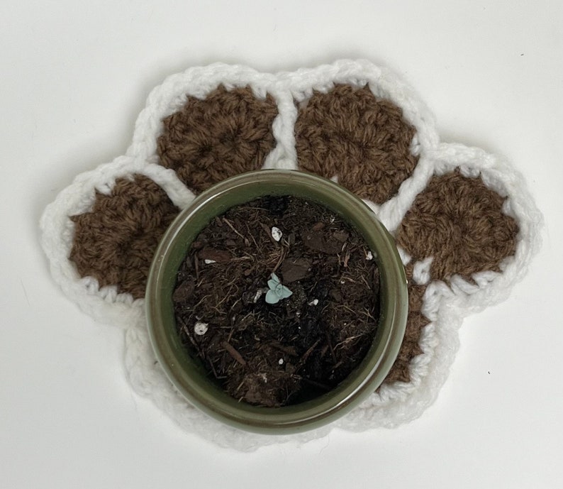 Heavenly Paws, In memory of a beloved pet, paw print, crocheted paw with succulent planter and tray, pet memorial, remembrance gift image 1