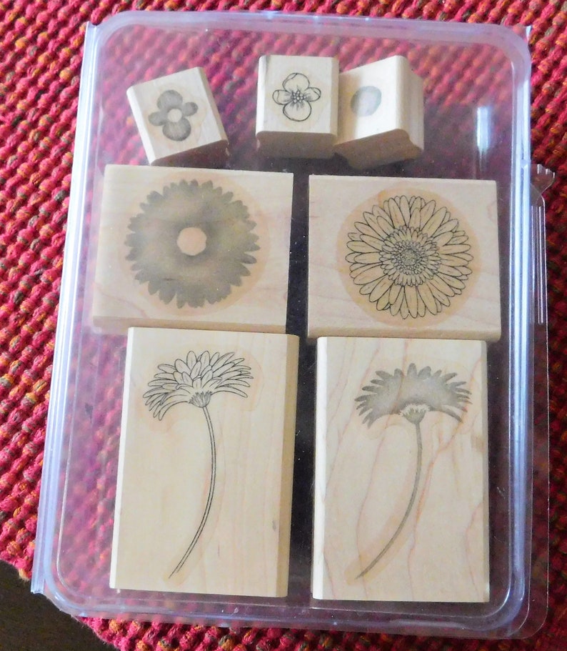 Reason To Smile Stampin up Stamp set floral image 0