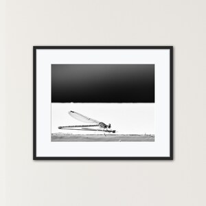 Dragonfly Black and White Photo Print: Elegant Nature Wall Decor (Digital Download)