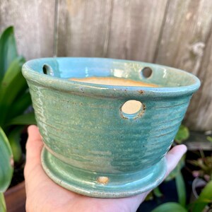 May include: A teal green ceramic planter with drainage holes. The planter has a textured, slightly speckled finish and a rounded base.