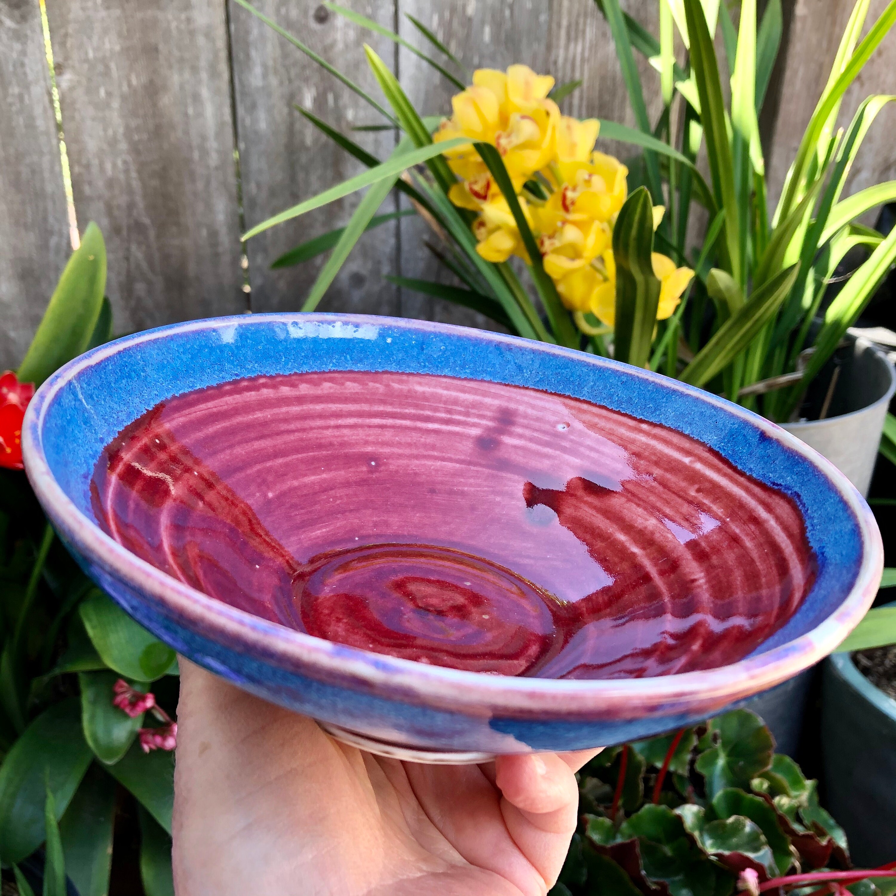 Beautiful Mostly Red (blue Rimmed) Porcelain Bowl - Medium Size ...
