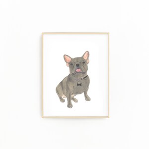 SALE - 5x7&quot; Blue / Chocolate French Bulldog Fine Art Print