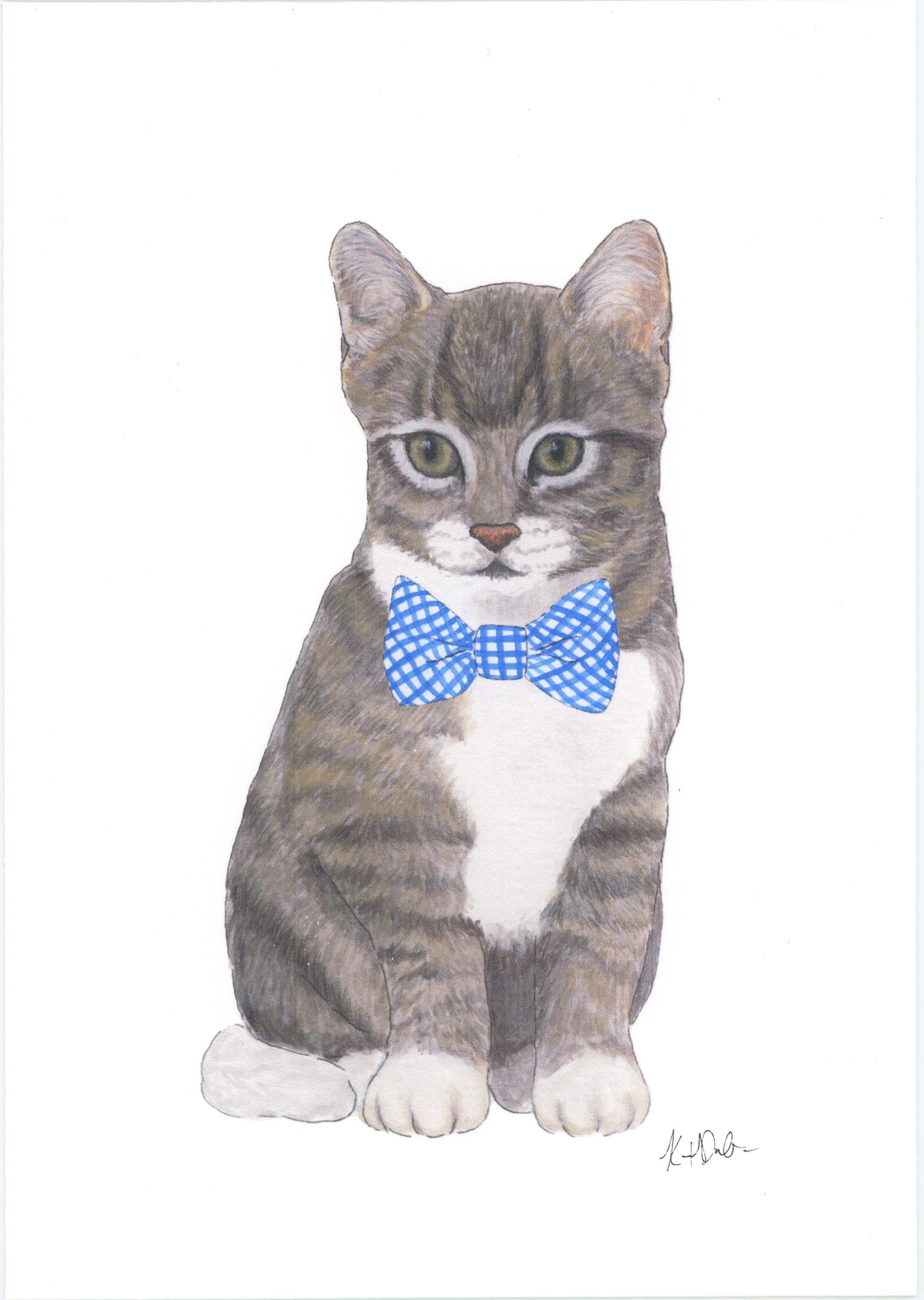 SALE - 5x7" Grey Striped Tabby Cat Fine Art Print - Etsy