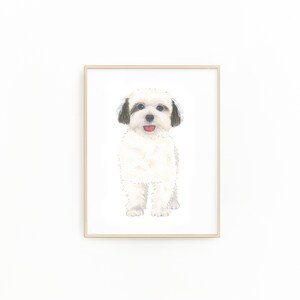 May include: A framed illustration of a white dog with brown ears and a pink tongue sticking out. The dog is looking directly at the viewer.