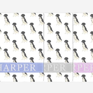 Couverture personnalisée Minky noir et blanc pour chien d&#39;arrêt à poil court