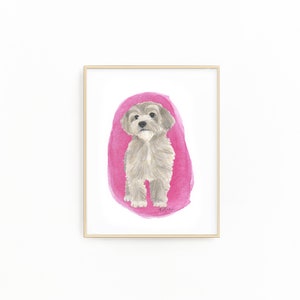 May include: Watercolor painting of a small, fluffy, light gray dog standing on a pink background.