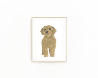 May include: A framed illustration of a brown and white dog with curly hair. The dog is looking directly at the viewer.