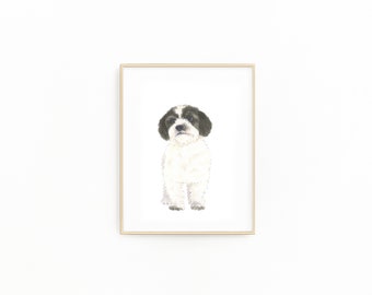 May include: A watercolor painting of a small, white and black dog with fluffy fur. The dog is looking directly at the viewer with a serious expression.