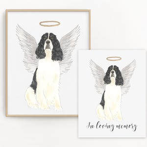 Lot de cartes de condoléances noir et blanc épagneul springer anglais, impression chien ange, portrait cadeau commémoratif perte d'un animal de compagnie, pont arc-en-ciel