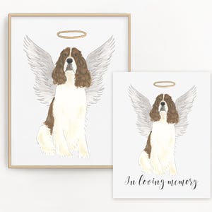 Lot de cartes de sympathies à imprimé mémorial foie et épagneul springer blanc blanc, impression chien ange, portrait cadeau commémoratif perte d'un animal de compagnie, pont arc-en-ciel