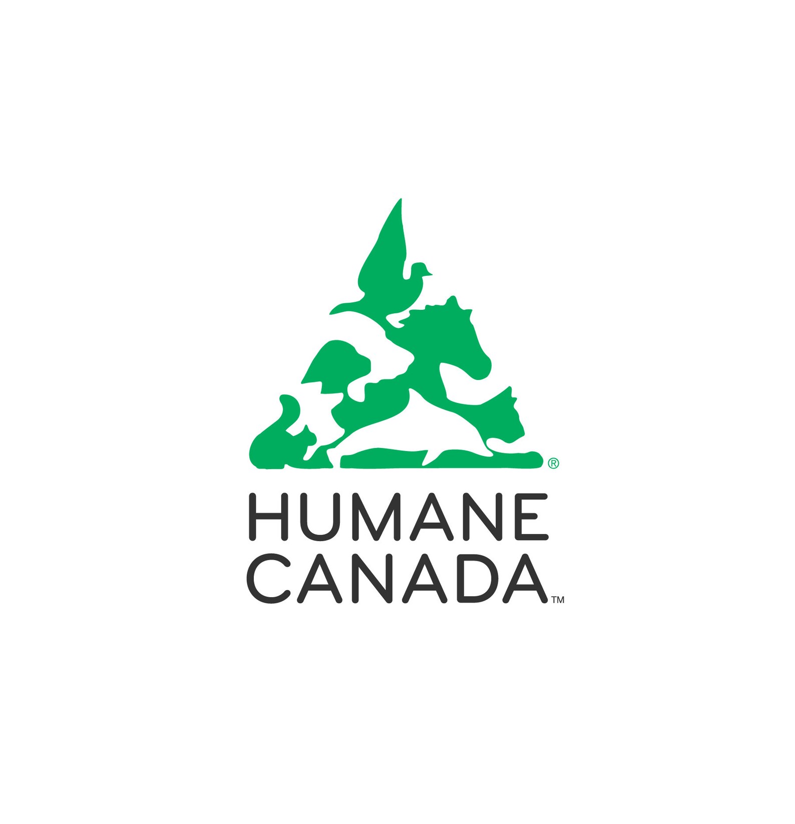 United In Diversity Canada Day 3D Wildlife Glowing Poster & Etsy