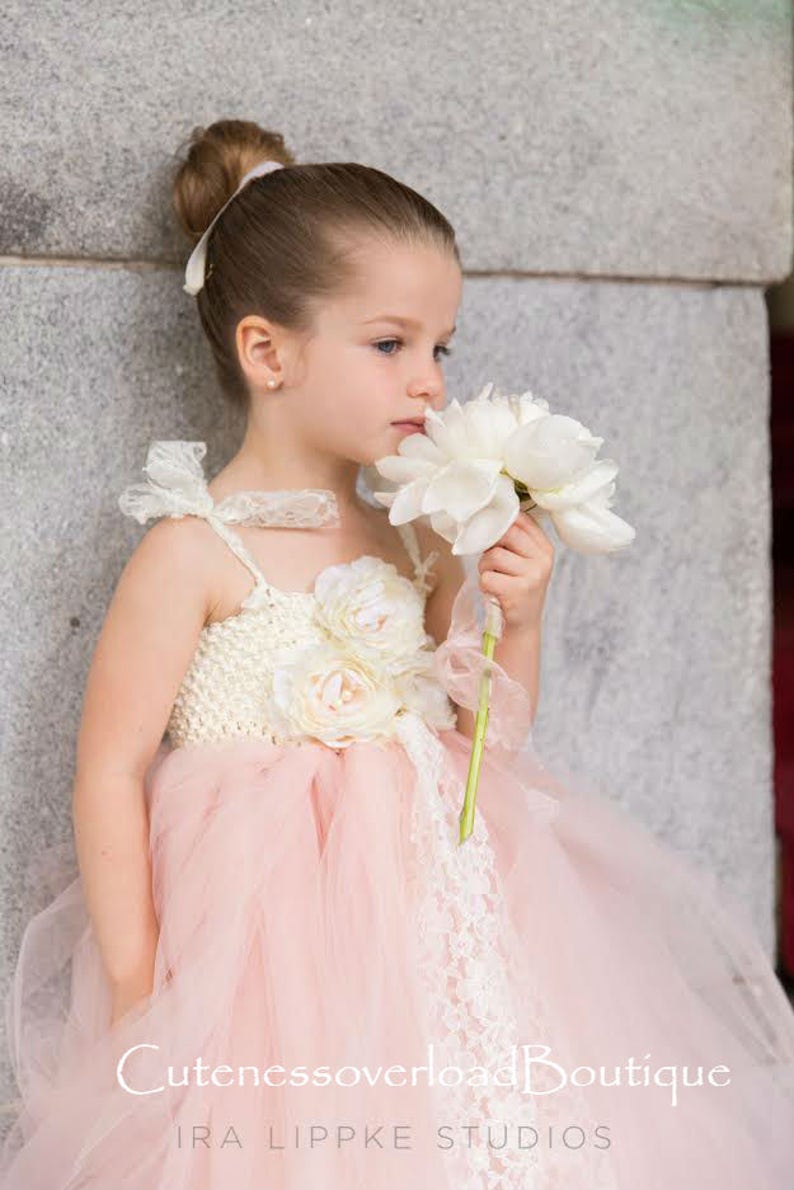 blush tutu dress