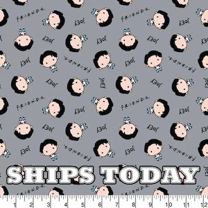 Friends Joey Toss 100% Cotton Fabric, Fat Quarter, By The Yard, Diagonal, Cotton TV Joey Kawaii Friends Fabric for Face Masks - SHIPS TODAY