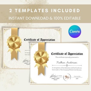 Certificate of Appreciation Template for Employee Awards, Printable Recognition Certificate, Employee Achievement Award, Canva Template