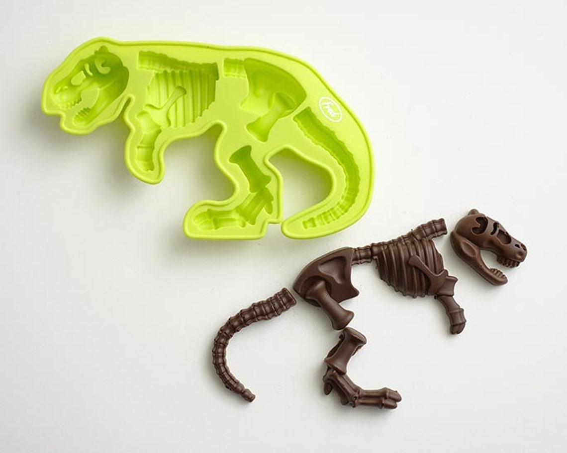 dinosaur fossil mold