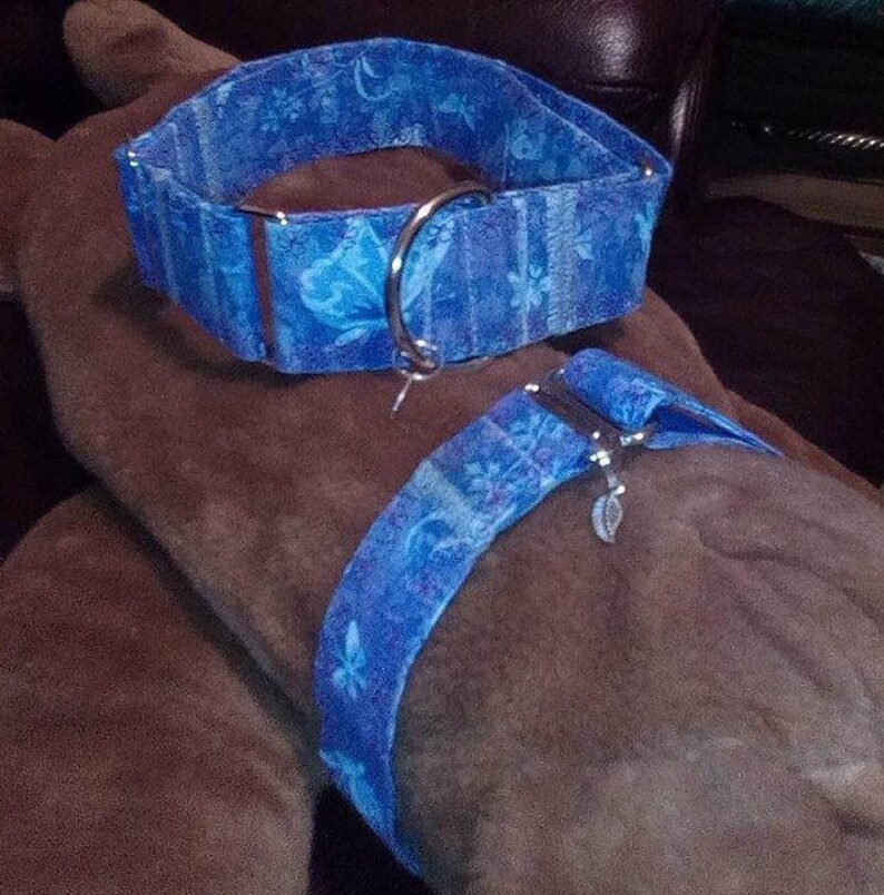 K&ouml;nnte beinhalten: Ein blaues und wei&szlig;es Hundehalsband mit floralem Muster, silberner Schnalle und Ring. Das Halsband ist aus Stoff.