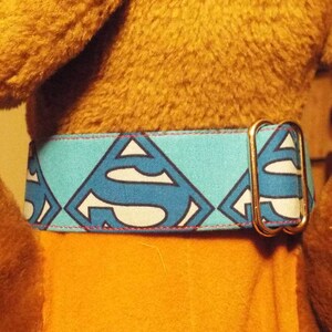 May include: A blue and white Superman logo dog collar with a silver buckle.