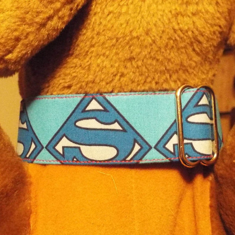 May include: A blue and white Superman logo dog collar with a silver buckle.